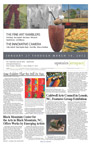 312CarolinaArts-pg20